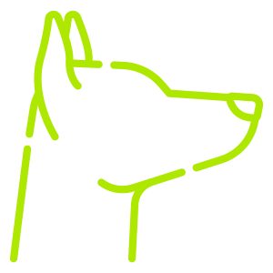 Las carreras de galgos te dan impulso instantáneo, especialmente al apostar en Retabet.